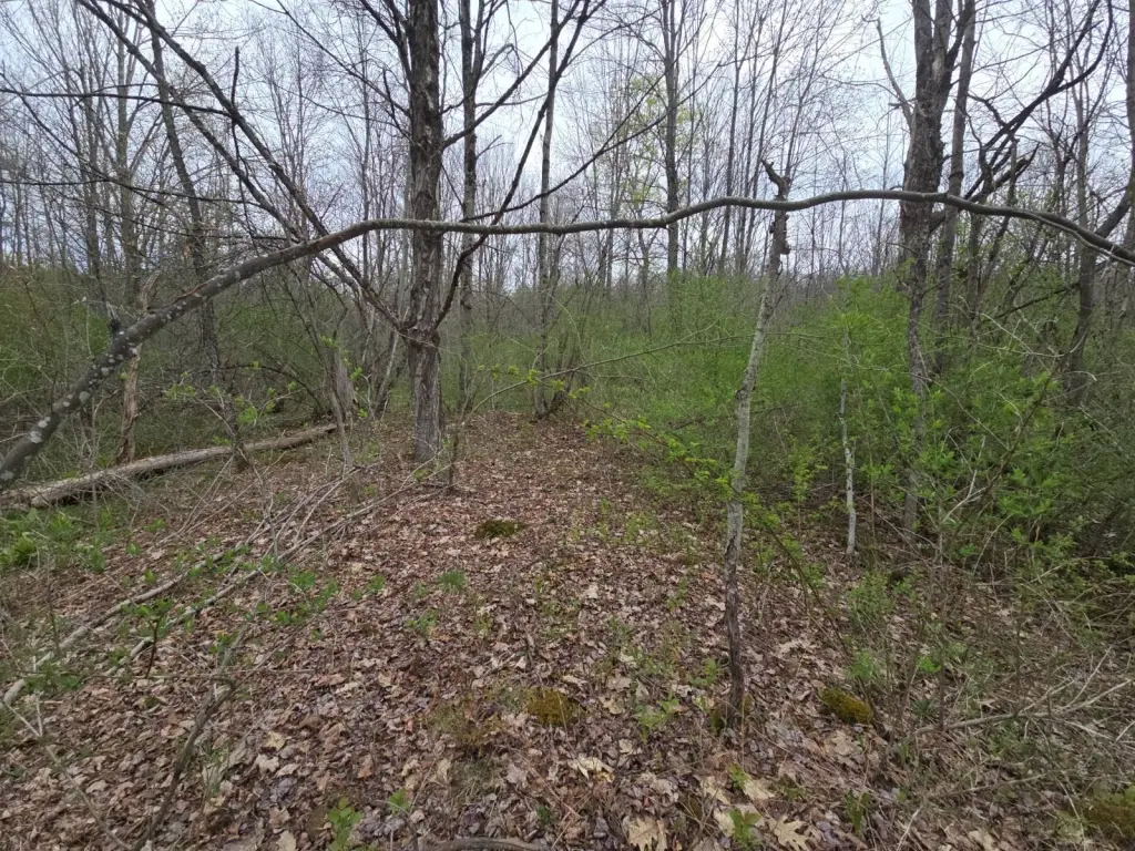 Picture 14