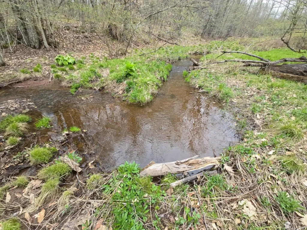 Picture 38