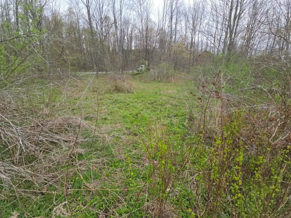 Picture 8