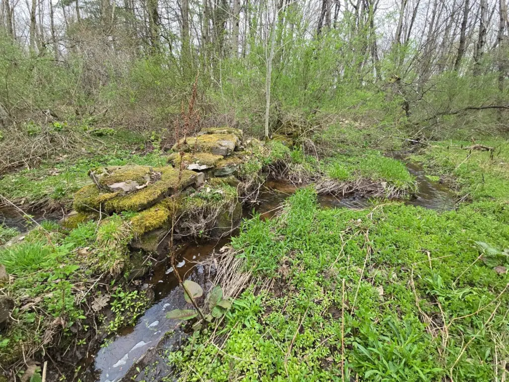 Picture 17