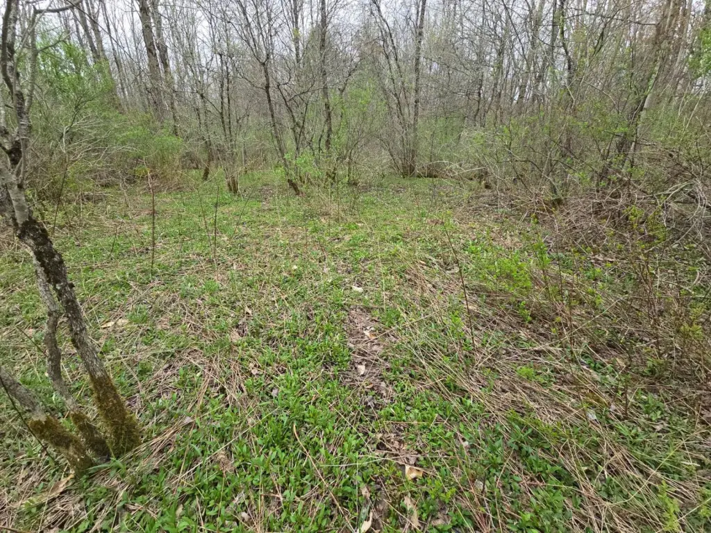 Picture 13