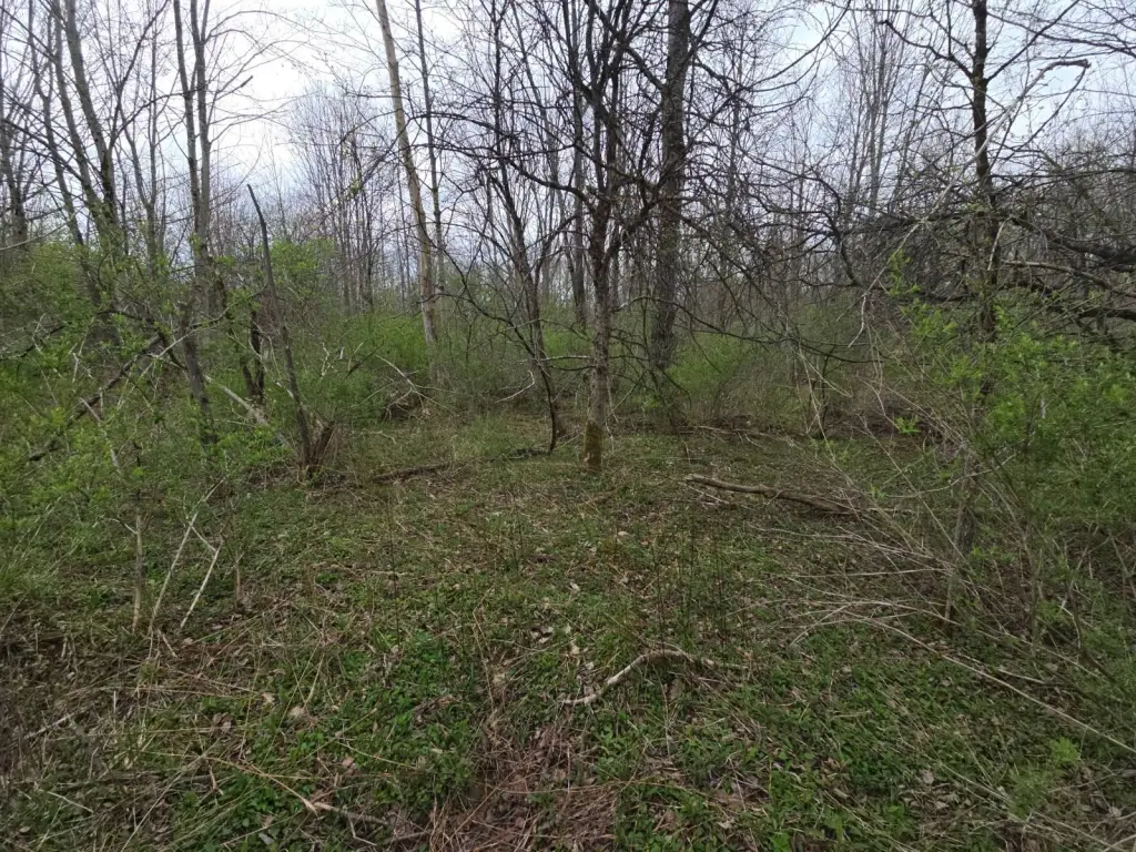 Picture 12