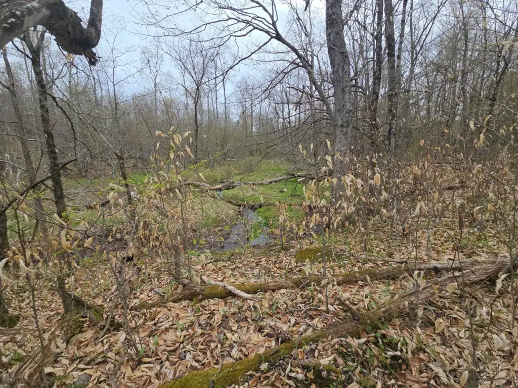 Picture 41
