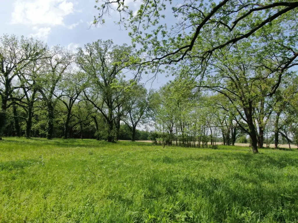Picture 19