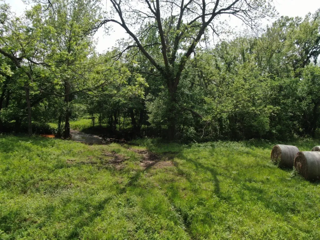 Picture 17