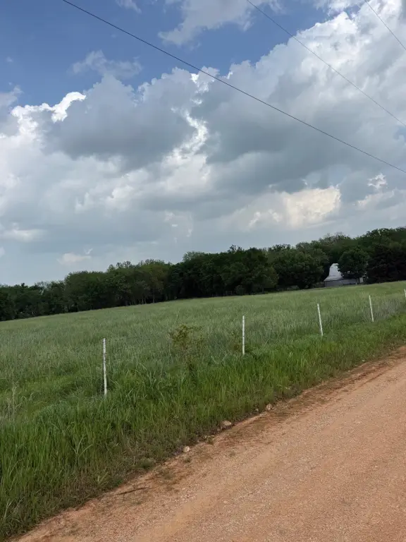 Picture 32