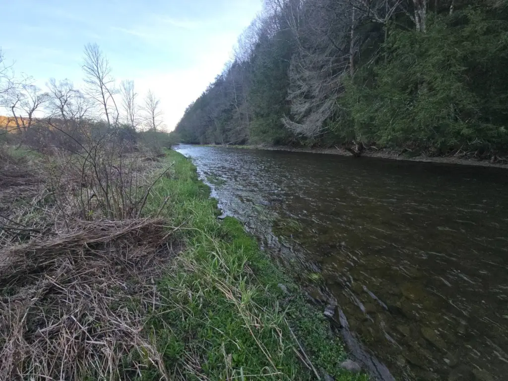 Picture 15