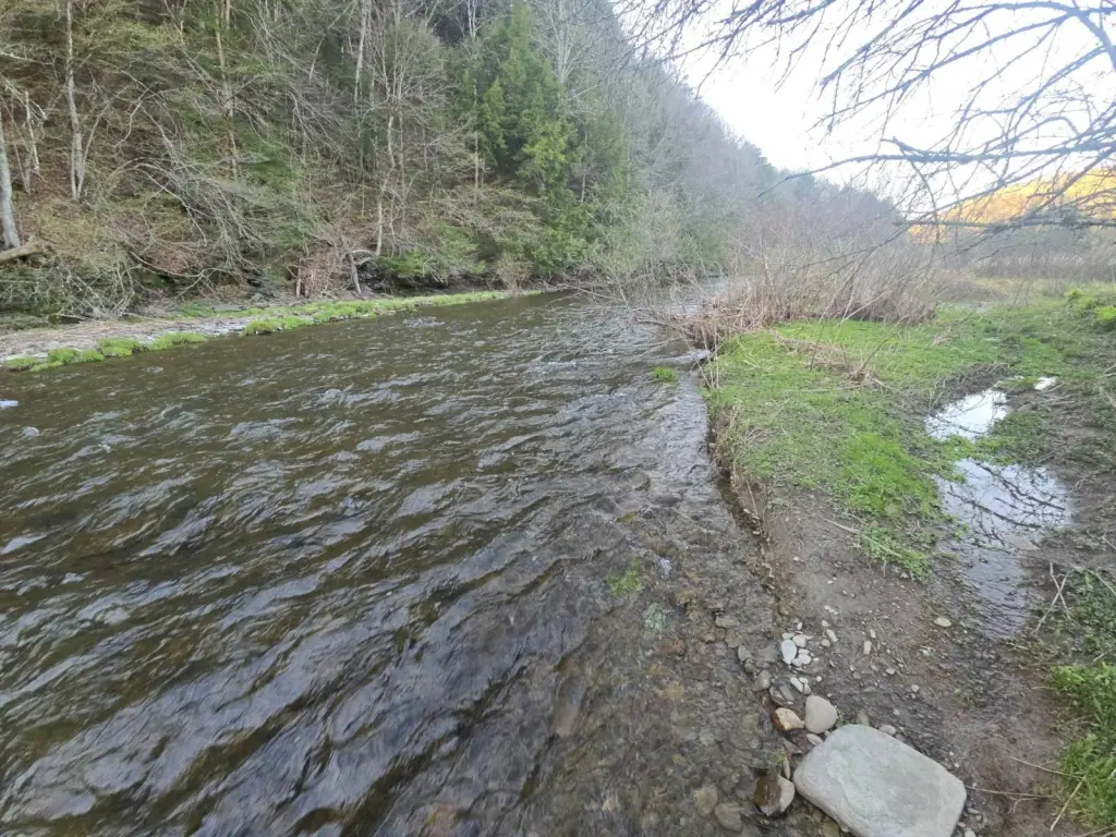 Picture 2