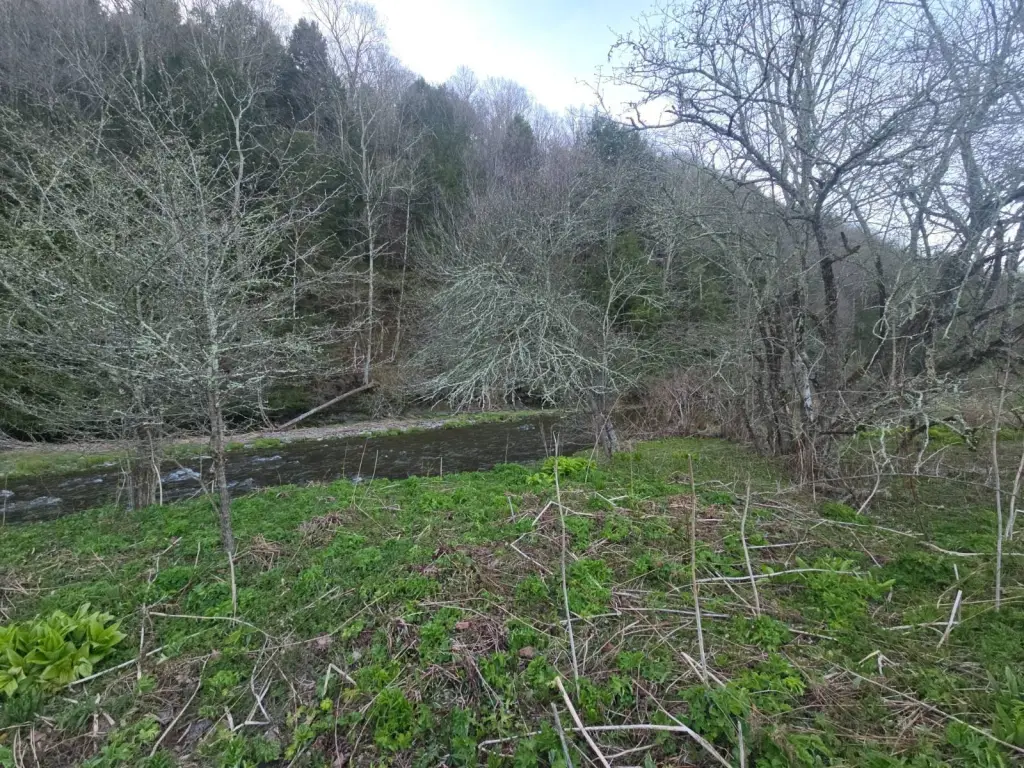 Picture 12