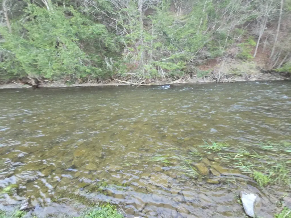 Picture 16
