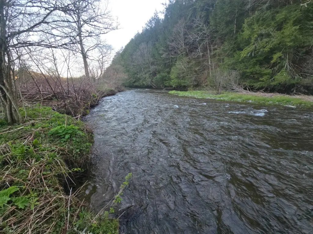 Picture 3