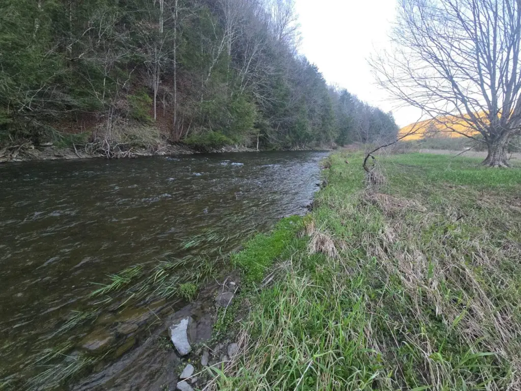 Picture 17