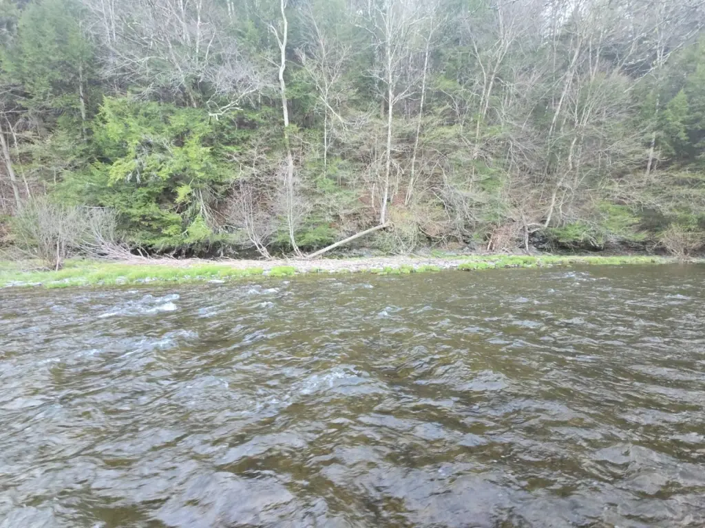 Picture 14