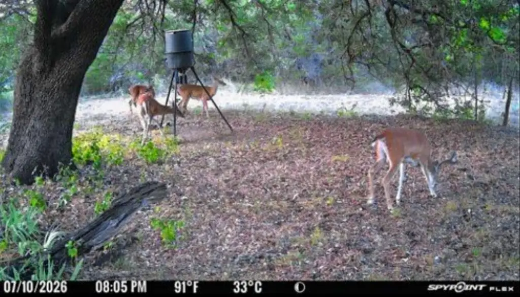 Picture 6