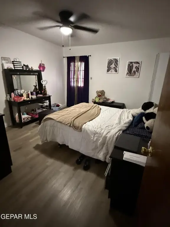 Picture 5