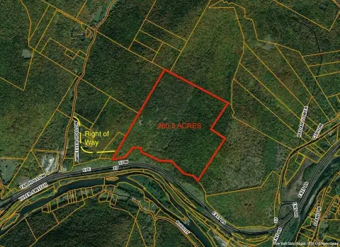 Vast Forestland for Hunting, Investment