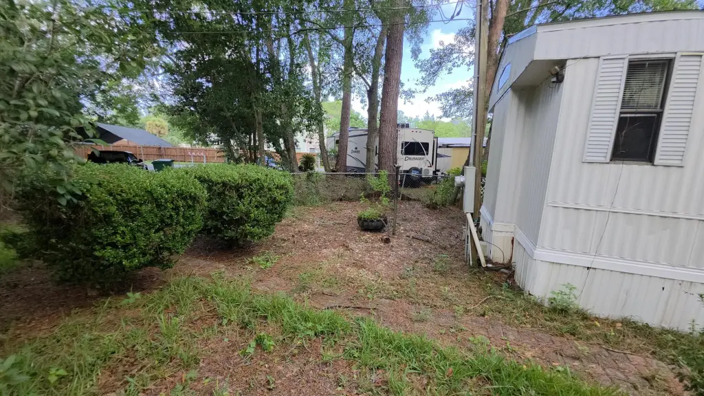 Picture 17