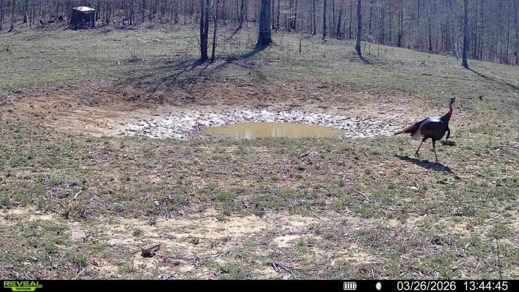 Picture 13