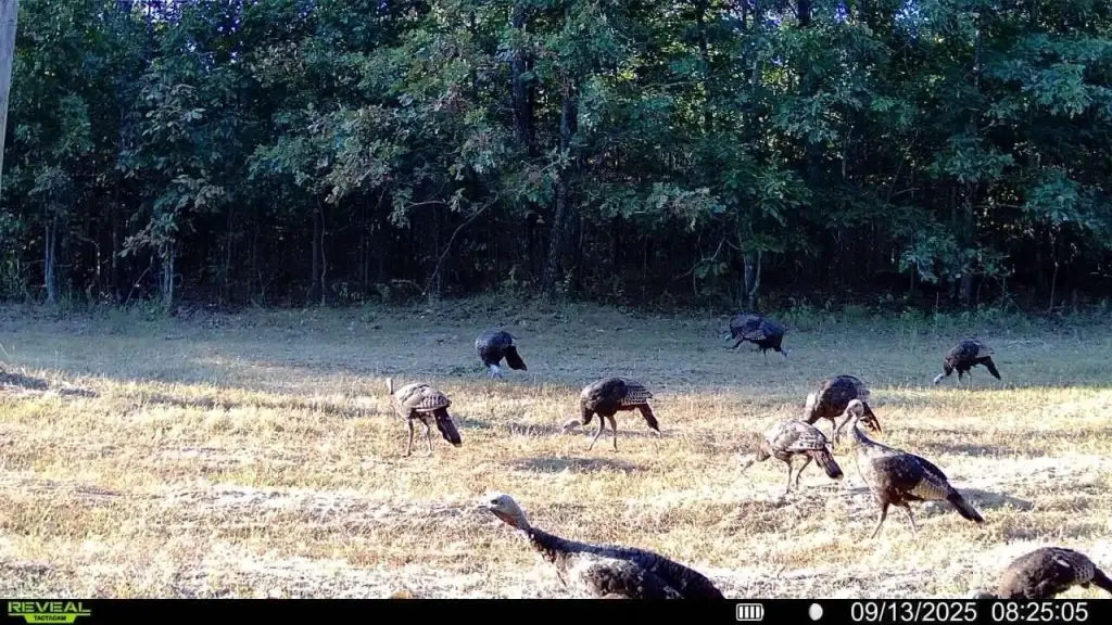 Picture 14