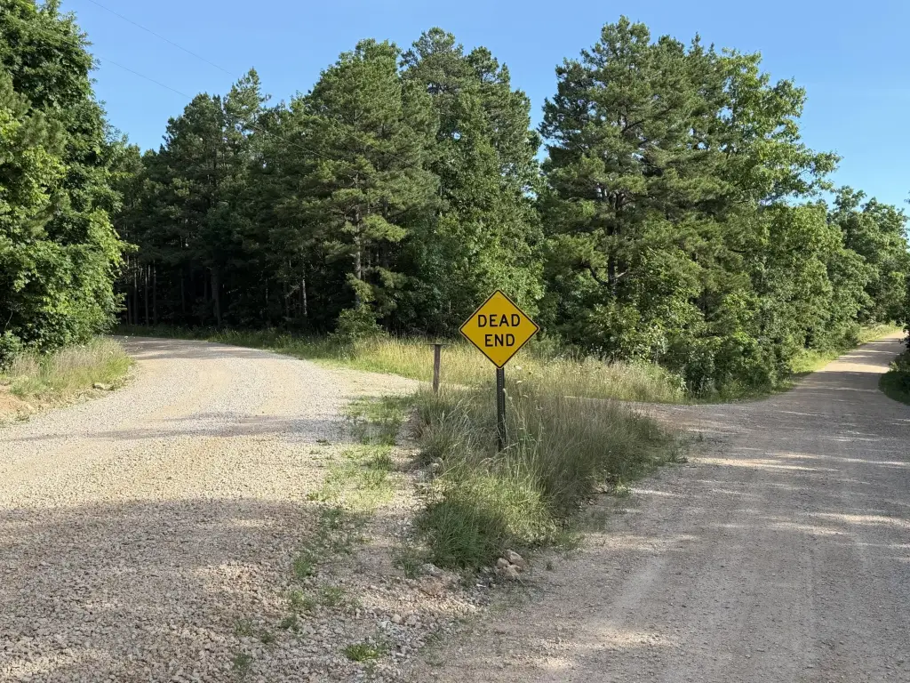 Picture 20
