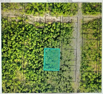 Secluded Wooded Land in Milton