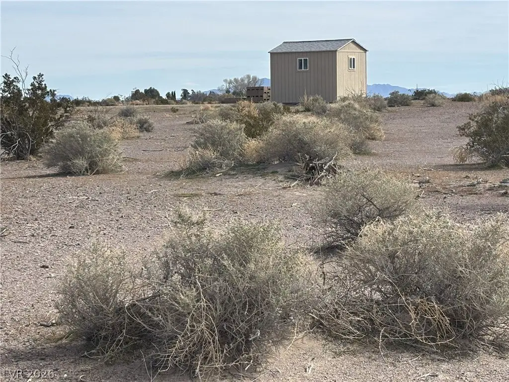 Picture 5