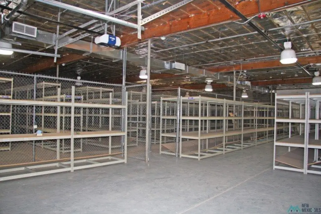 Picture 7