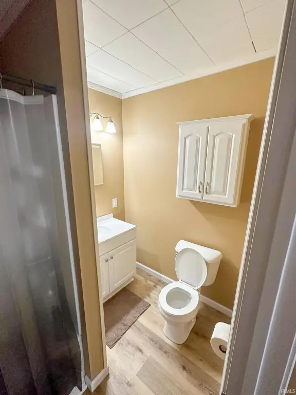 Picture 6
