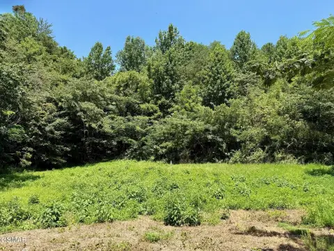 Pigeon Forge Acreage Near Parkway