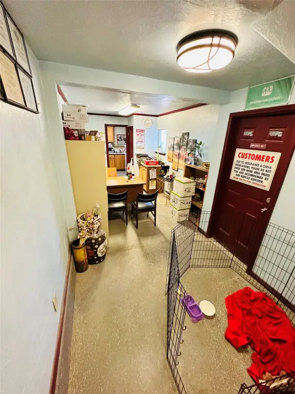 Picture 29