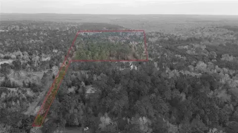 18 Acres Wooded Land, Palestine