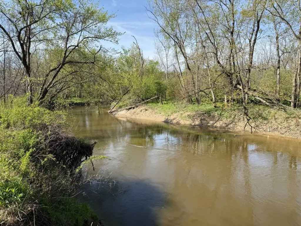 Picture 4