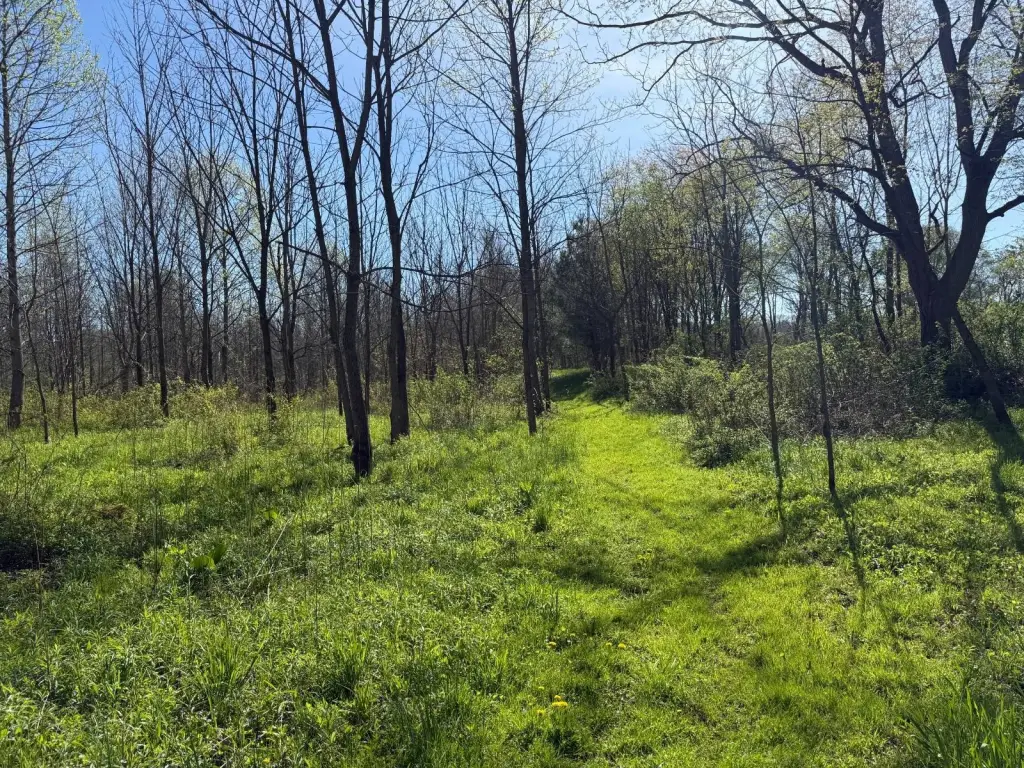 Picture 5