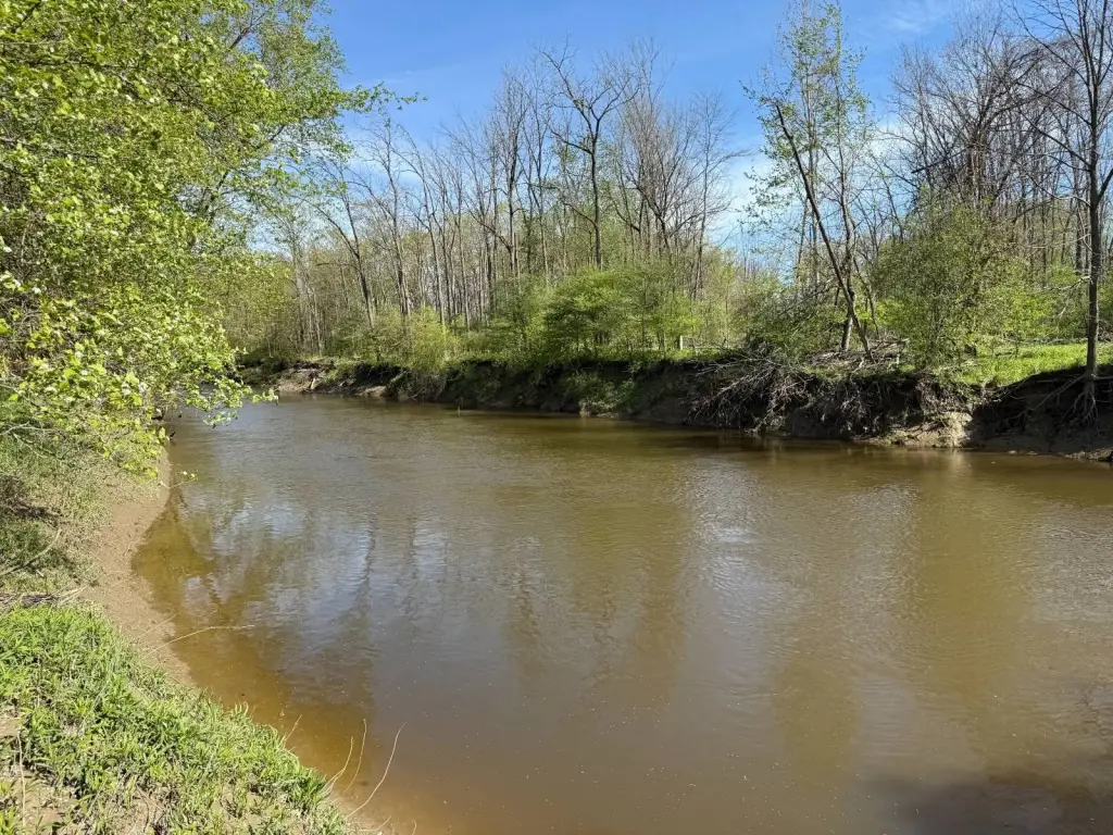 Picture 19