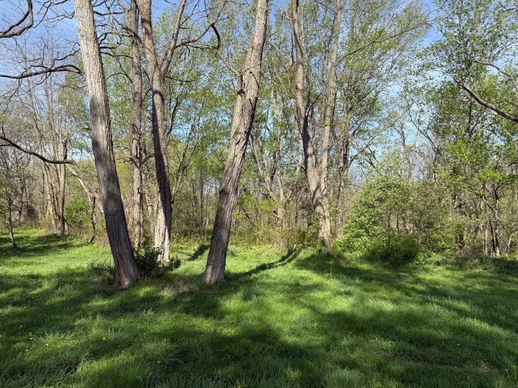 Picture 28