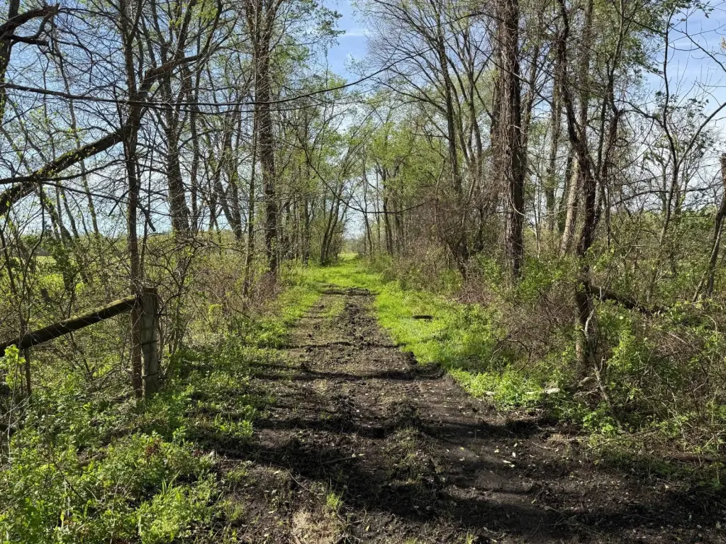 Picture 24