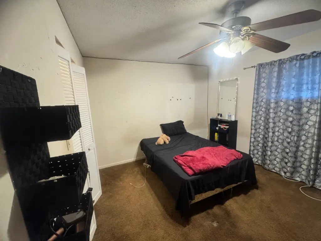 Picture 9