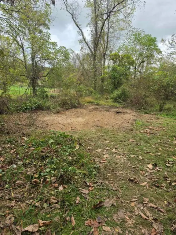 Picture 13