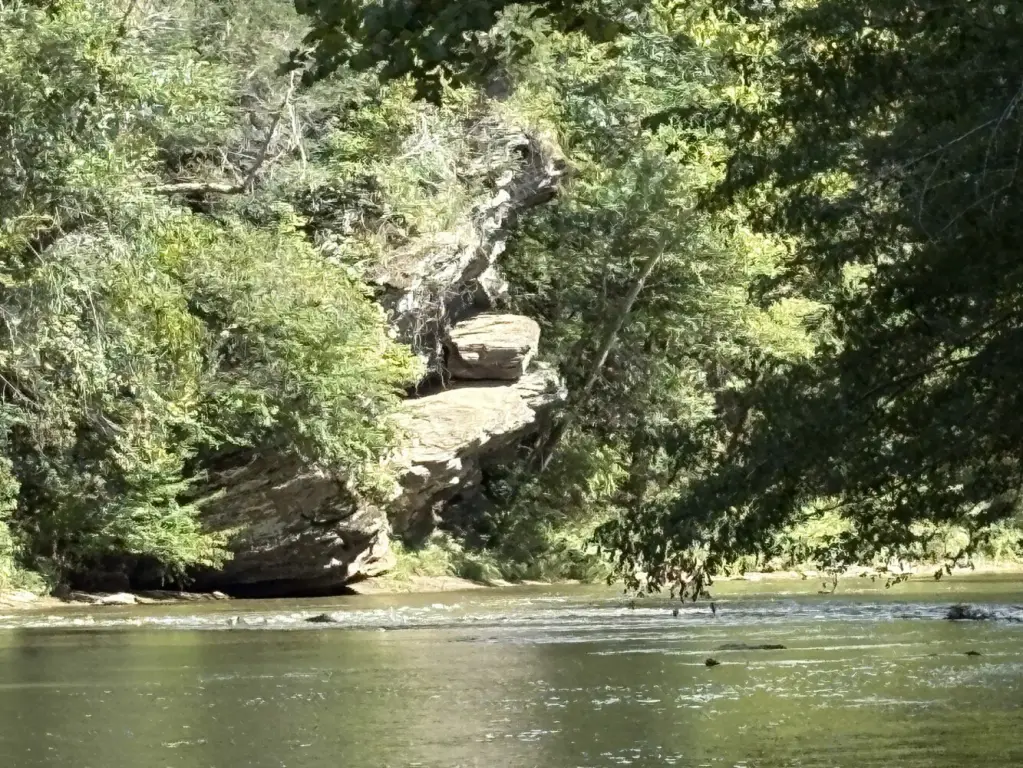 Picture 8