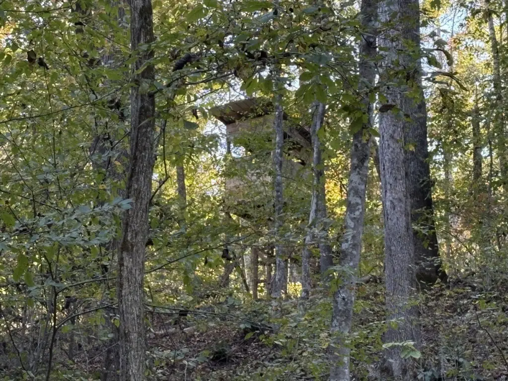 Picture 25