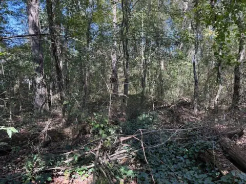 Wooded Lot in Attalla, AL