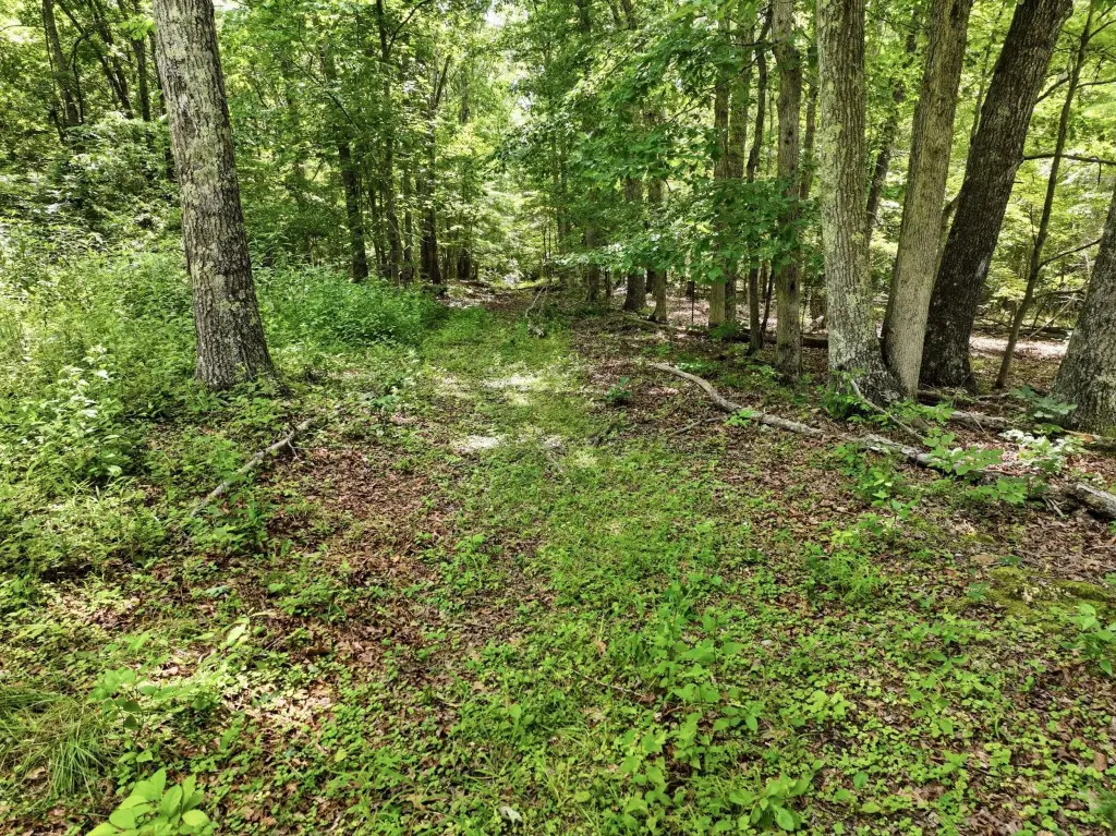 Picture 14