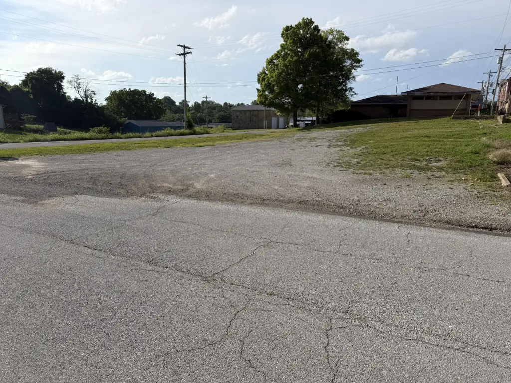 Picture 5