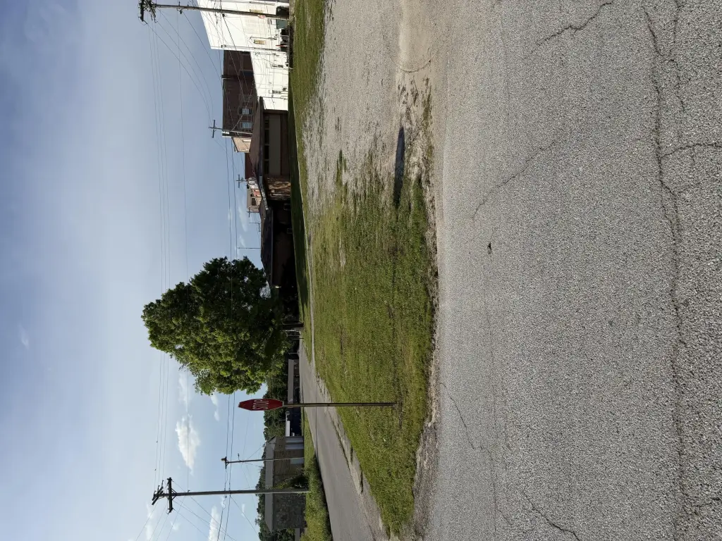 Picture 2