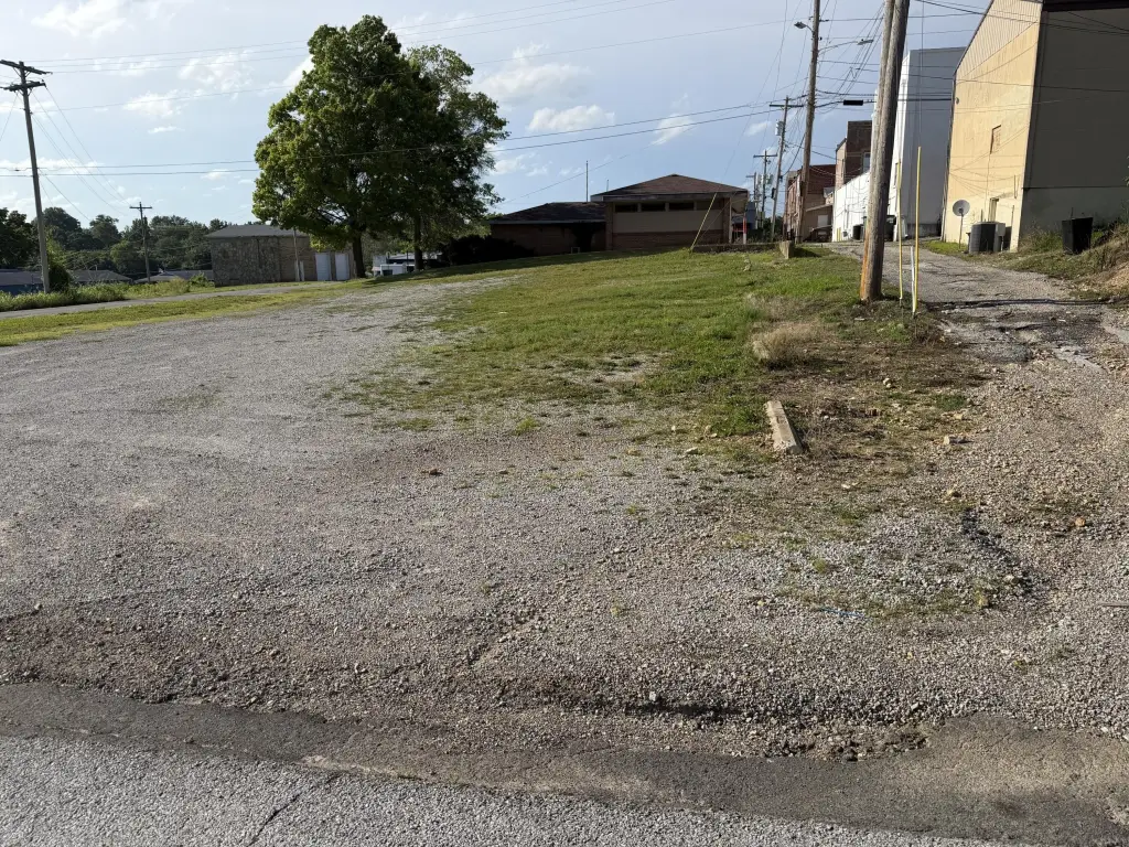 Picture 3