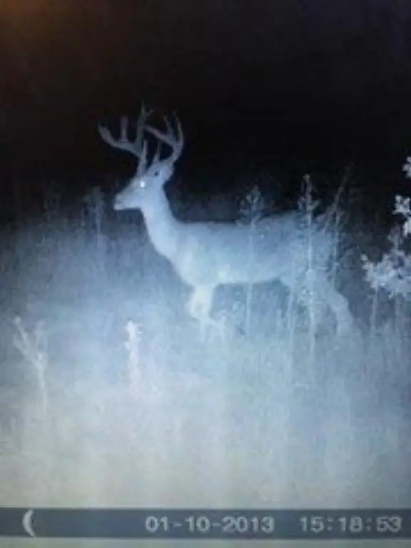 Picture 8