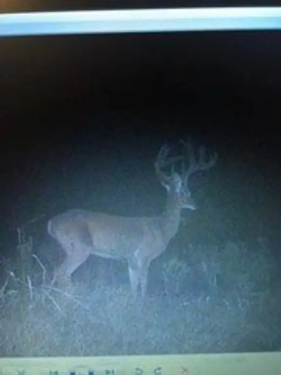 Picture 6