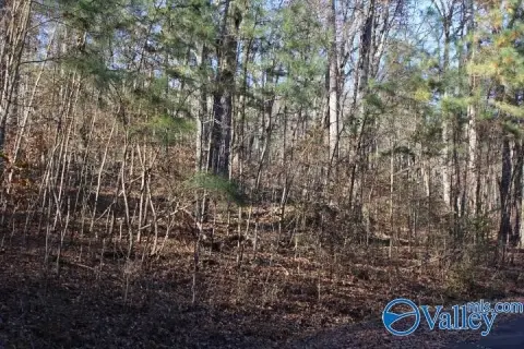Guntersville Acreage For New Home