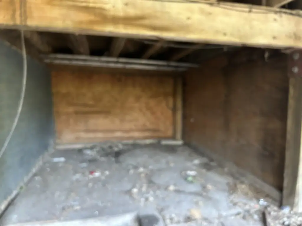 Picture 7