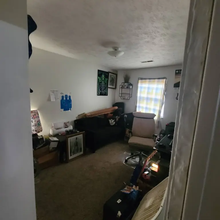 Picture 5